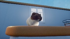 Mankind Guinea Pig Against Covid-19