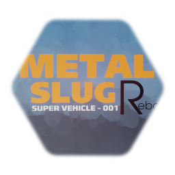 MSR LOGO