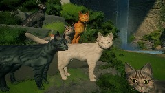 Valley of Cats (Cat Simulator)