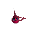 KCK_1111