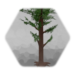 Coniferous tree with foliage