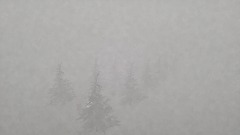 Niveau 9 snow of partie 1/2