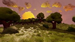 Sunsets, Fields, and Forests