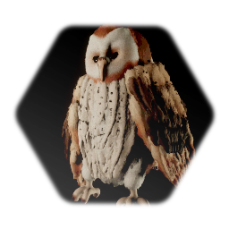 Thicc Barn Owl
