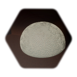 Brain coral
