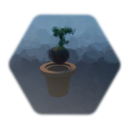 Plant & Plant Pot