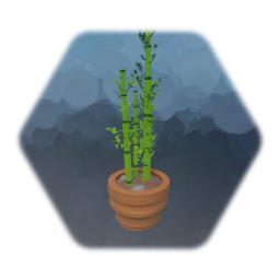 Potted bamboo