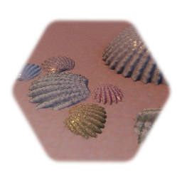 Sea urchin  / sea shell