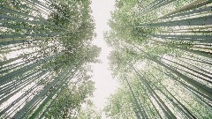 A screenshot taken in Dreams. 2 of 4.