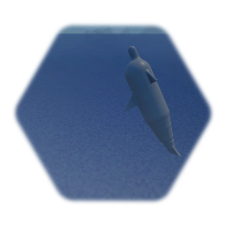 Dolphin Controls