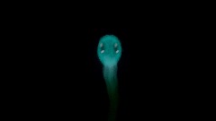 A screenshot taken in Dreams. 11 of 18.