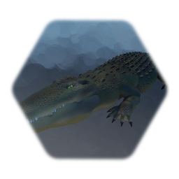 Nile Crocodile