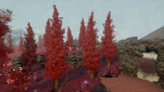 Tropical-Exotic_Beyond