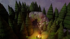 Night time forest