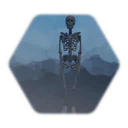 Skeleton