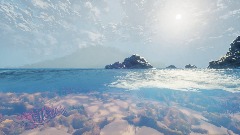 Coral reef view