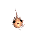 HYPER_SLOTH17