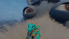 Donkey dies due to a d