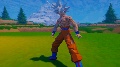 My DRAGON BALL Z Fan-Games