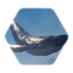 Humpback Whale Paint