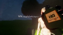 Pov Ads