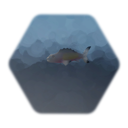 Fish Swimming