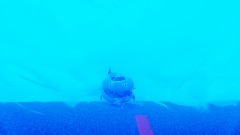 Squidward in nothingness