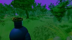 Maxwell Spider swamp