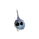 toopuklu