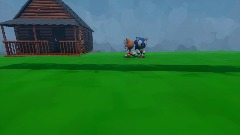 2 player Sonic and Tails RPG