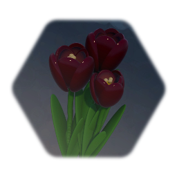 Tulip