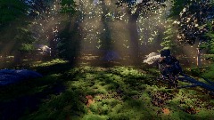 Realistic Forest