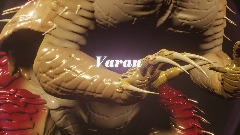 Varan boi