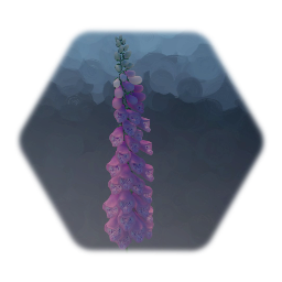 Remix of Foxglove Flower