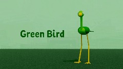 Green Bird Introduction