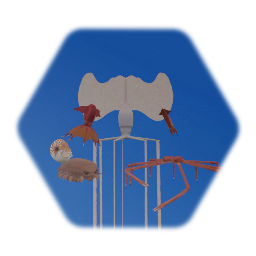 Deep Sea Invertebrate Collection