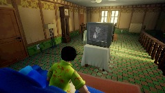 The tv guy