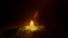 Calm fire by the river