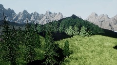 Realism Forest (Show-Case)
