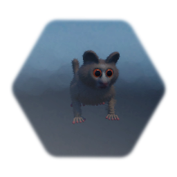 Bush Baby