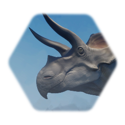 Triceratops head