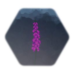 Foxgloves