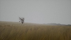 With Songs to the Battle