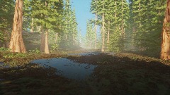 California Redwood Forest Environment Demo