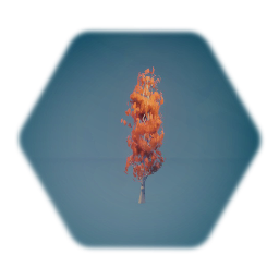 Large Sprouting Tree