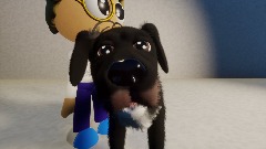 My dog for absolutely no reason