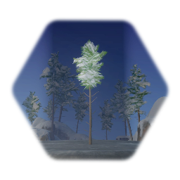 Snowy Spruce (Background)