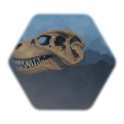 Remix of T Rex skeleton (Skull)