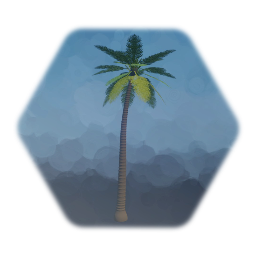 Dark Trunk Dark Frond Palm Tree