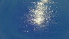 A screenshot taken in Dreams. 1 of 2.